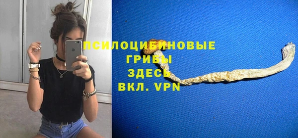 крисы Абаза