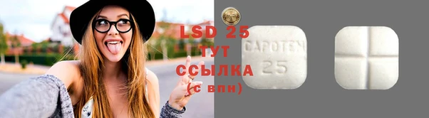 дурь Алексин