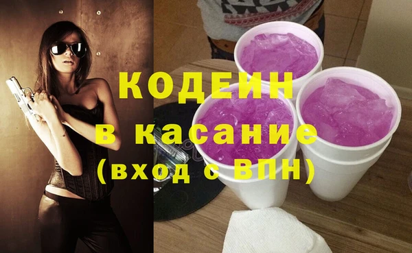 крисы Абаза