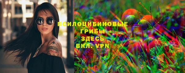 крисы Абаза