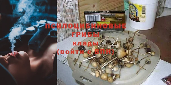 крисы Абаза