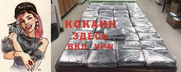 крисы Абаза